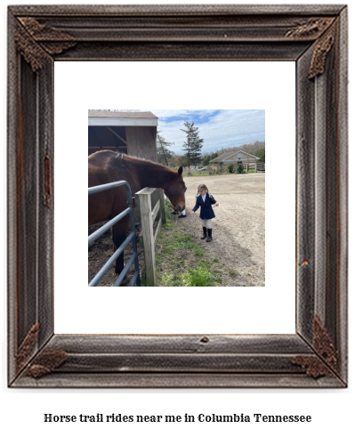 horse trail rides near me in Columbia, Tennessee